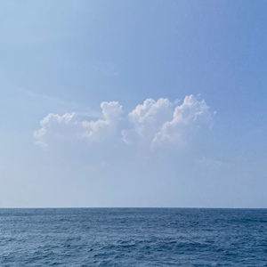 ユーフォリア (acoustic ver.)