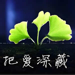 你的眼角流着我的泪（抖音）