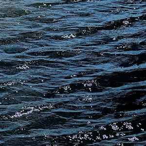 左手指月.wav