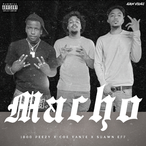 Macho (feat. C.O.E.Yante & Shawn Eff)