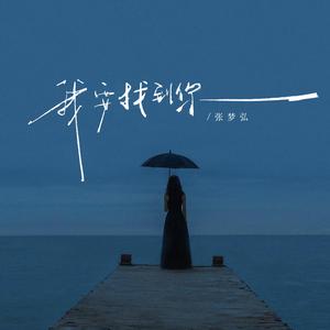 我要找到你 (粤语版)