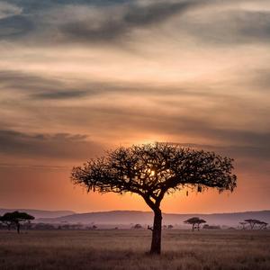 Jarabi (Sleep Song Version)