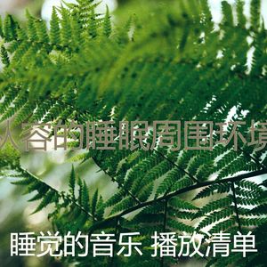 一尘不染情怀印象数