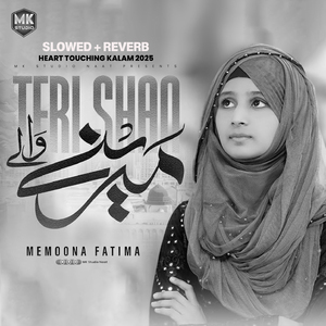 Aalla Nabiyon Se (Lofi-Mix)