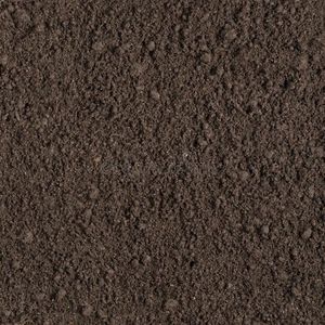 Dirt