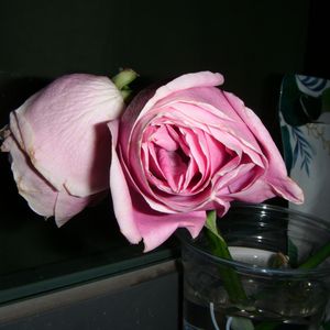 最初的记忆_片段