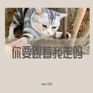 你要不要跟我走