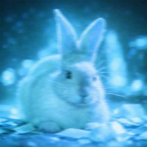 Bunny party (slowed + reverb)