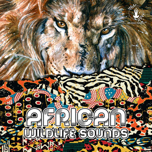 The Ethiopian Highlands