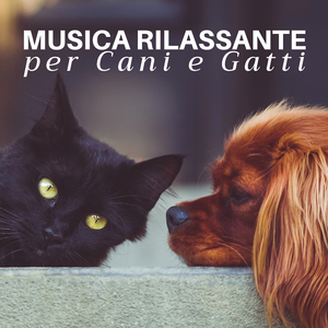 Pausa Strumentale