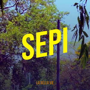 Sepi