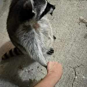 Hands on You (sped up)