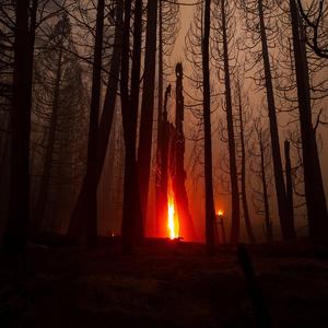 Wild Fire(野火）ft Yarlik