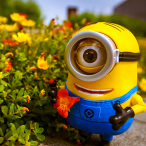 啷个哩个啷（翻自 鹏泊）