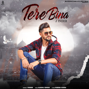 Tere Bin