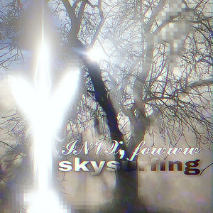 Skysurfing