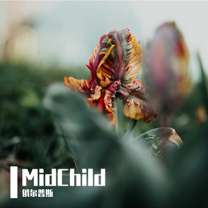 MidChild