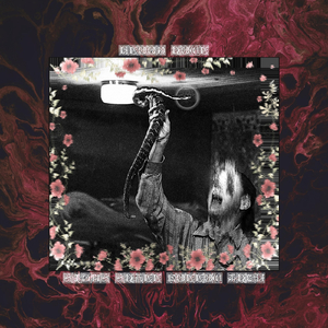 Circle of Reincarnage