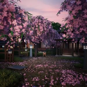 破茧成蝶一一致敬罗大油9263老师的《茧》