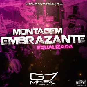 Montagem Embrazante Equalizada