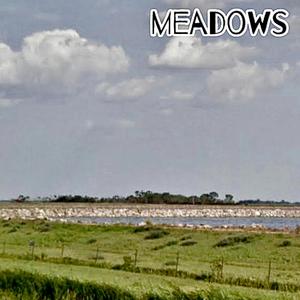 Dustbowlfight (118 E 5th St, Grafton, ND 58237)