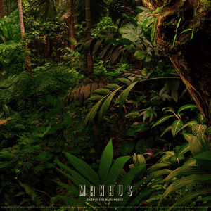 Nights In The Forest