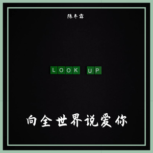 向全世界说爱你