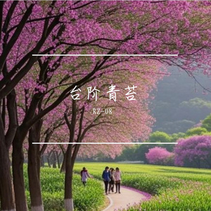 台阶青苔