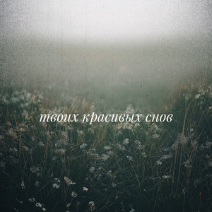Твоих красивых снов