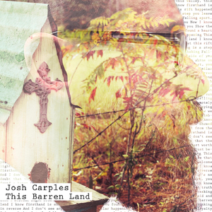 This Barren Land