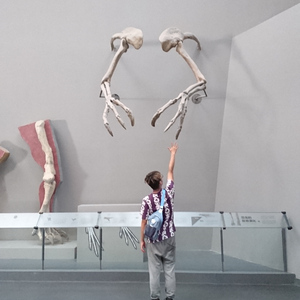 iNTROduction(instrument)(RMIX-edition)