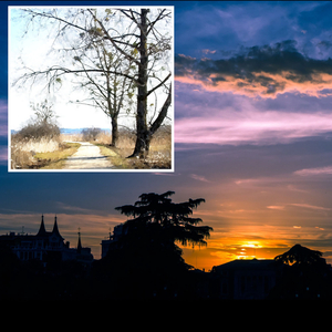 몽환속의 평화 (안식의 소나타)