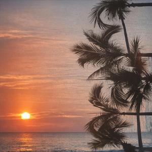 Last Light of Summer