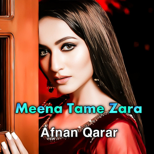 Meena Tame Zara