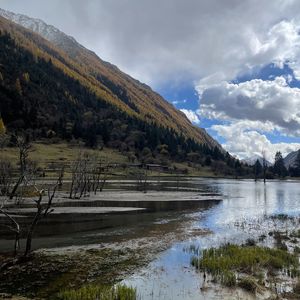 爱要怎么说出口