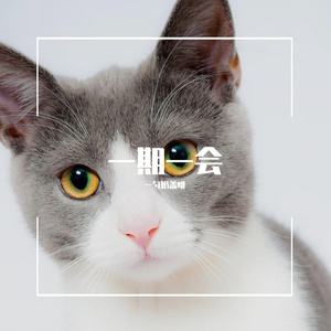 君が生まれた日（你所诞生的日子）