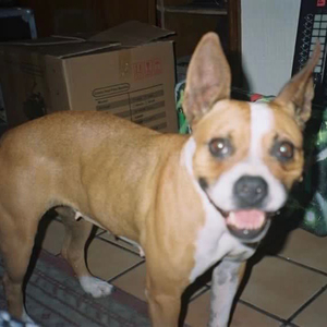 Bbstasbn?.wav (Lofi Version)