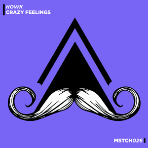 Crazy Feelings (Radio Edit)