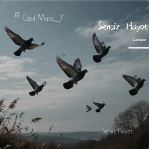 Sensiz Hayot