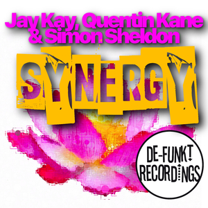 Synergy (Jay Kay Remix)