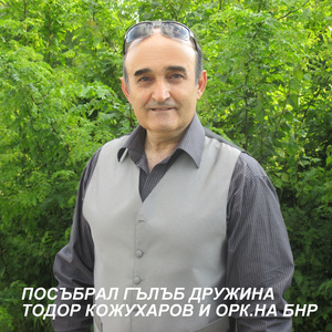 Посъбрал Гълъб дружина