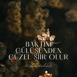 Baktım gülüşünden güzel şiir olur