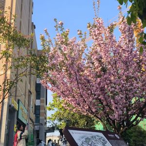 一起走过-整曲 伴奏