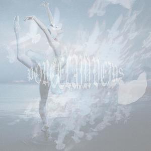 SWANLAKE