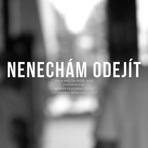 Nenechám odejít (feat. Wožel)