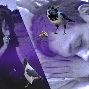 myliu arklius