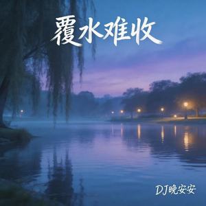 覆水难收(DJ空灵鼓版)