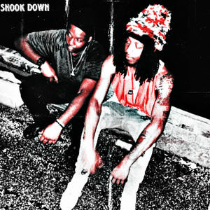 Shook Down