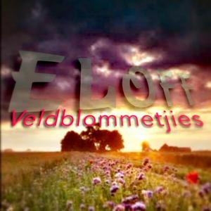 Veldblommetjies
