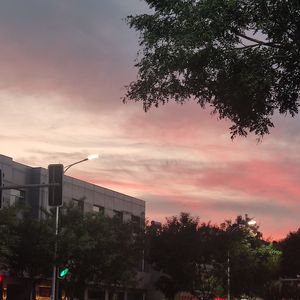 未闻花名（一期一会）（翻自周深）